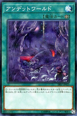 10/SR07-JP025ǥåȥɡڥΡޥѥ