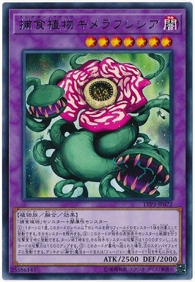 ��10��/LVP3-JP072 �Ῡ��ʪ�����ե쥷�� R