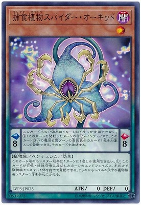 ��10��/LVP3-JP075 �Ῡ��ʪ���ѥ��������������å� 