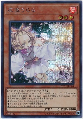 20th ANNIVERSARY LEGEND COLLECTION(20TH-JPC)｜フルアヘッド