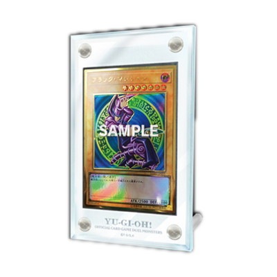 第10期/特製カードディスプレイケース | 遊戯王OCG,【OCG