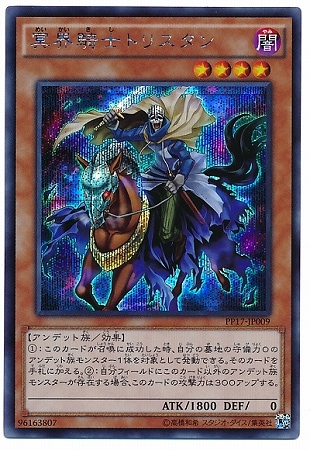 PP17-JP009��̽�����Υȥꥹ����ڥ�������åȥ쥢��