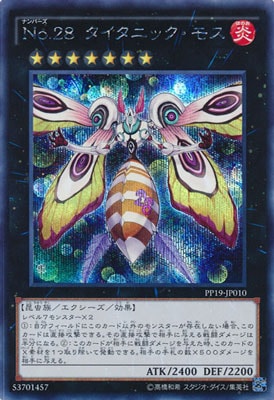 PP19-JP010 �Σ�.���� �������˥å����⥹�ڥ�������åȥ쥢��