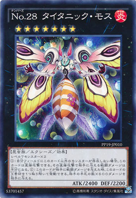 PP19-JP010 �Σ�.���� �������˥å����⥹