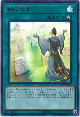 PP20-JP007����εߺѡڥ���ȥ�쥢��