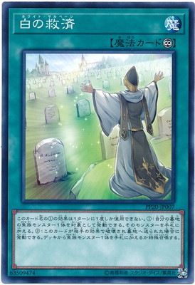 PP20-JP007����εߺ�