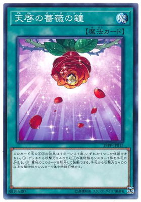 19PP-JP015��ŷ�����鯤ξ�