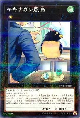 �ץ��⡼�����/17PR-JP010�������ʥ�����Ļ