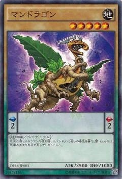 �ץ��⡼�����/DF16-JP003���ޥ�ɥ饴��