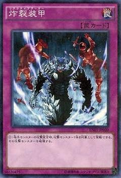 �ץ��⡼�����/EN01-JP020���������áڥѥ����