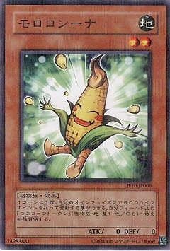 �ץ��⡼�����/JF10-JP008������������ʡڥѥ����