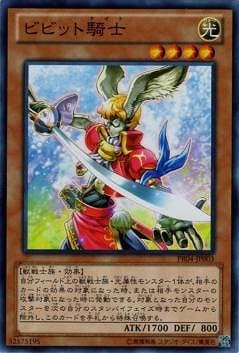 �ץ��⡼�����/PR04-JP003���ӥӥåȵ���