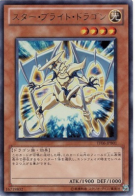 ������°������/TF06-JPB01�����������֥饤�ȡ��ɥ饴��ڥ���ȥ�쥢��