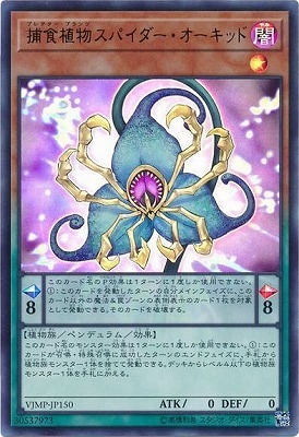 捕食植物スパイダー・オーキッド