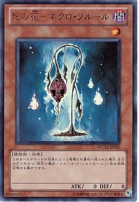 ��������°������/WC11-JP001����β֡ݥͥ������ե롼��ڥ���ȥ�쥢��