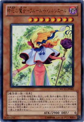 ��������°������/WC11-JP002�����֤�����ݥե롼�롦�ɡ����륷������ڥ���ȥ�쥢��