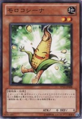 ȡʥȥѥå/TP13-JP008