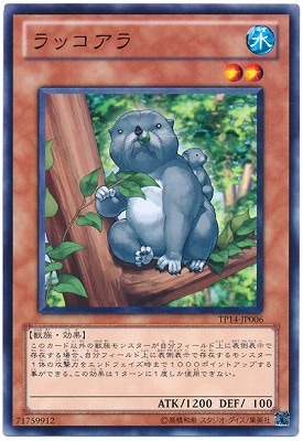 ȡʥȥѥå/TP14-JP006å