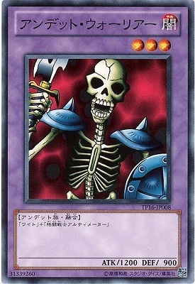 ȡʥȥѥå/TP16-JP008ǥåȡꥢ