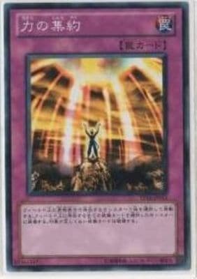 ȡʥȥѥå/TP16-JP011Ϥν