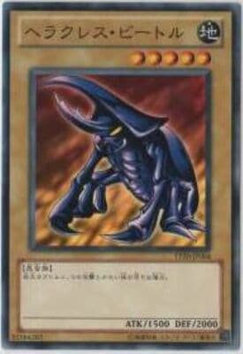 ȡʥȥѥå/TP20-JP004إ饯쥹ӡȥ