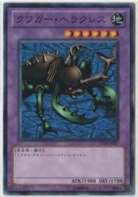 ȡʥȥѥå/TP20-JP007塞إ饯쥹