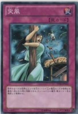 ȡʥȥѥå/TP20-JP010