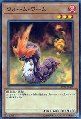 ȡʥȥѥå/17TP-JP407ࡦ