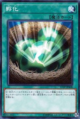 ȡʥȥѥå/17TP-JP408۲