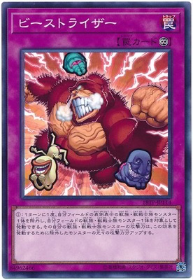 ȡʥȥѥå/18TP-JP114ӡȥ饤