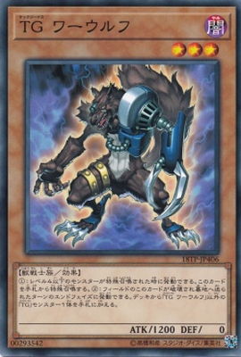 ȡʥȥѥå/18TP-JP406ԣ 