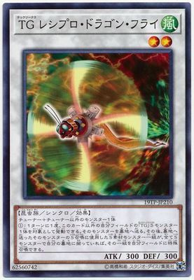 ȡʥȥѥå/19TP-JP210 ԣ 쥷ץɥ饴󡦥ե饤