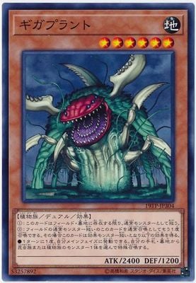 ȡʥȥѥå/19TP-JP304 ץ