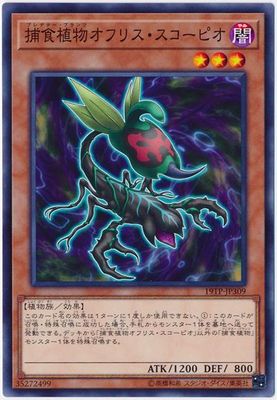 ȡʥȥѥå/19TP-JP309 Ῡʪեꥹԥ