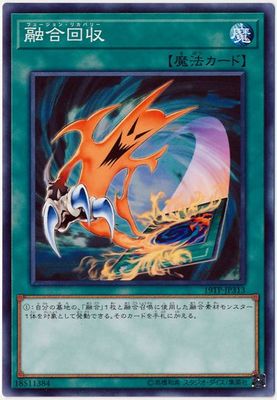 ȡʥȥѥå/19TP-JP313 ͻ