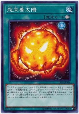 ȡʥȥѥå/19TP-JP314 Ķ