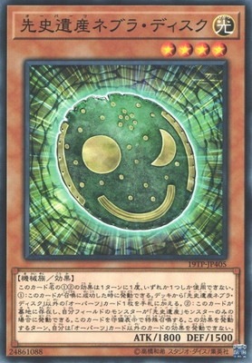 ȡʥȥѥå/19TP-JP405 ˰仺֥ͥ顦ǥ