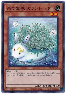 �ȡ��ʥ��ȥѥå�/20TP-JP206 �������� �����ȡ���