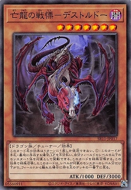 ��11��/SR11-JP017 ˴ζ�����ˡݥǥ��ȥ�ɡ�