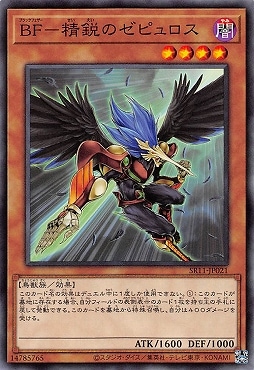 ��11��/SR11-JP021 �£ơ����ԤΥ��ԥ����