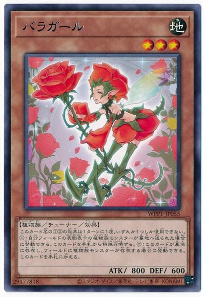 ��11��/WPP1-JP055 �Х饬���� R
