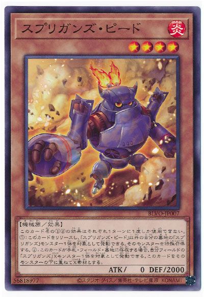 11/03/BLVO-JP007 ץꥬ󥺡ԡ