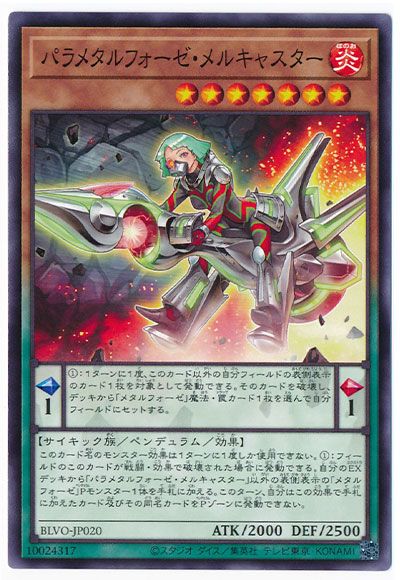 ��11��/03��/BLVO-JP020 �ѥ�᥿��ե���������륭�㥹����