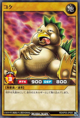 RD/KP03-JP005 ����