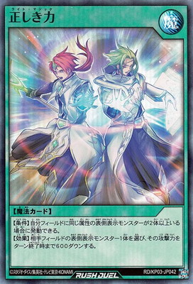 RD/KP03-JP042 �������ϡڥ����ѡ��쥢��