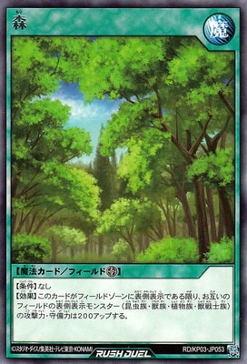 RD/KP03-JP053 �� R