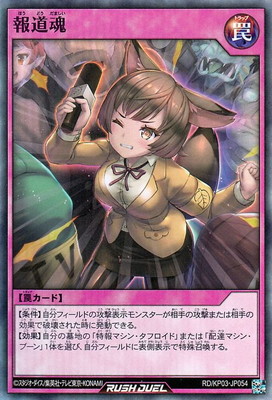 RD/KP03-JP054 ��ƻ���ڥ����ѡ��쥢��