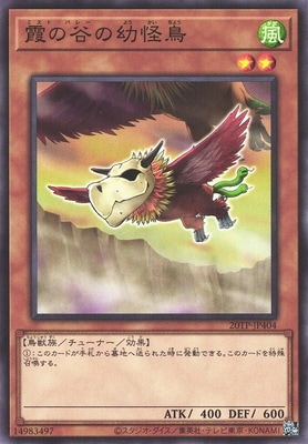 �ȡ��ʥ��ȥѥå�/20TP-JP404 ���ë���Ĳ�Ļ