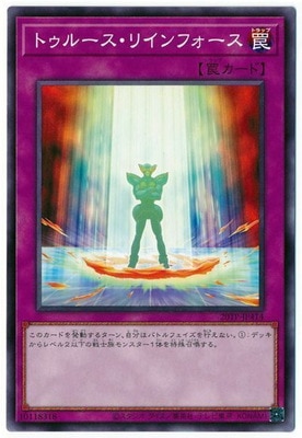 �ȡ��ʥ��ȥѥå�/20TP-JP414 �ȥ��롼�����ꥤ��ե�����
