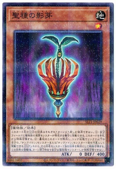 11/SLT1-JP029 αƲڥѥ